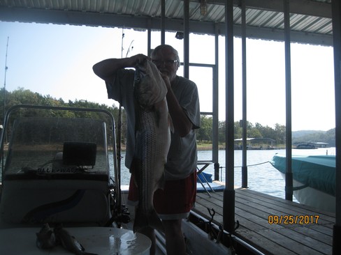 Nice Striped Bass